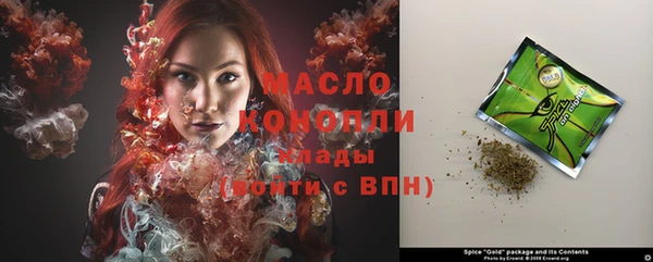 индика Богородск