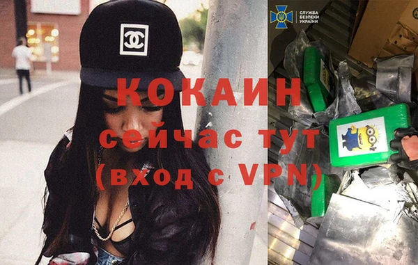 индика Богородск