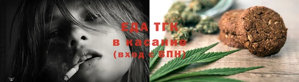 индика Богородск