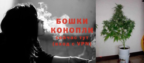 индика Богородск