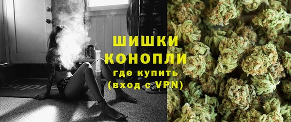 индика Богородск