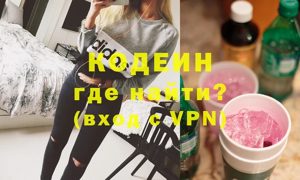 индика Богородск