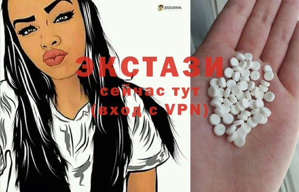 индика Богородск