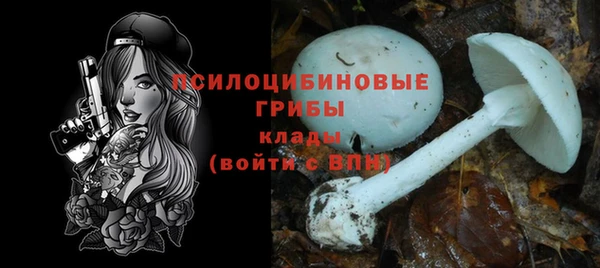 индика Богородск