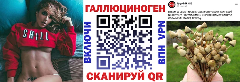 MEGA ссылки Нариманов Галлюциногенные грибы Psilocybe