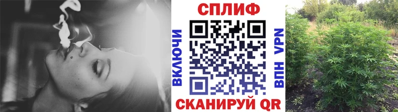 Шишки марихуана OG Kush  ссылка на мегу маркетплейс  Нариманов 